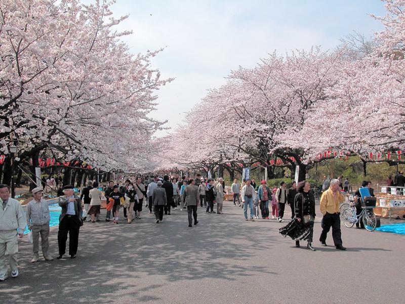 ホテル メルヴェール上野 東京都 エクステリア 写真